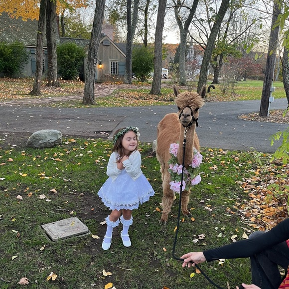 Toddler baptism or flower girl dress - Picture 1 of 6